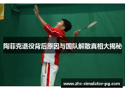陶菲克退役背后原因与国队解散真相大揭秘 陶菲克退役背后原因与国队解散真相大揭秘