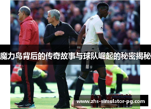 魔力鸟背后的传奇故事与球队崛起的秘密揭秘