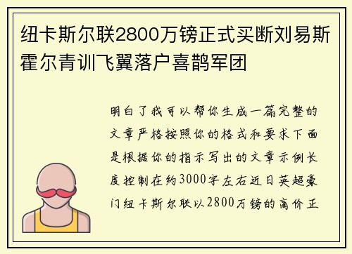 纽卡斯尔联2800万镑正式买断刘易斯霍尔青训飞翼落户喜鹊军团