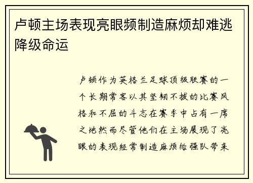 卢顿主场表现亮眼频制造麻烦却难逃降级命运